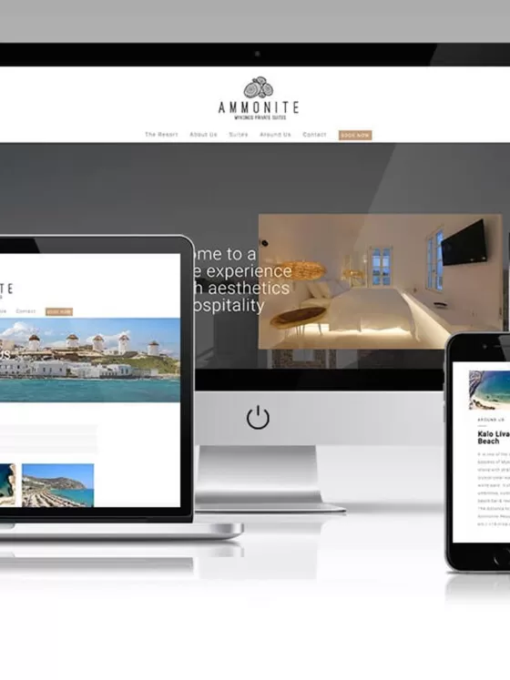 005a SITE AMMONITE 560x747 1-digital-marketing-athina